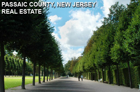 passaic county homes for sale