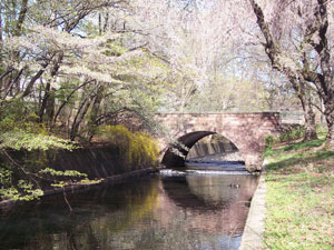 A Scenic Picture of Belleville, NJ.