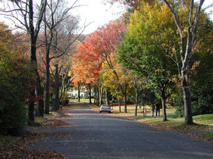 A scenic road in Mapewood, New Jersey.